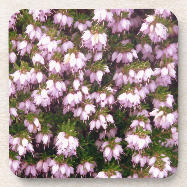 Purple Heather Flowers Coaster (Front)