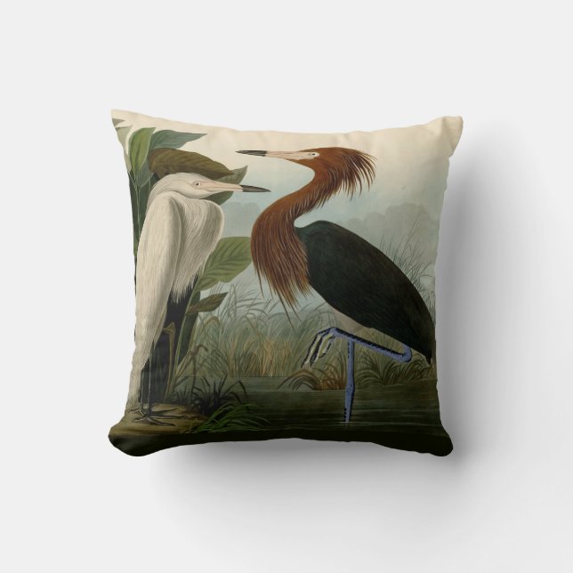 Purple Heron Audubon Bird Wildlife Painting Cushion (Front)