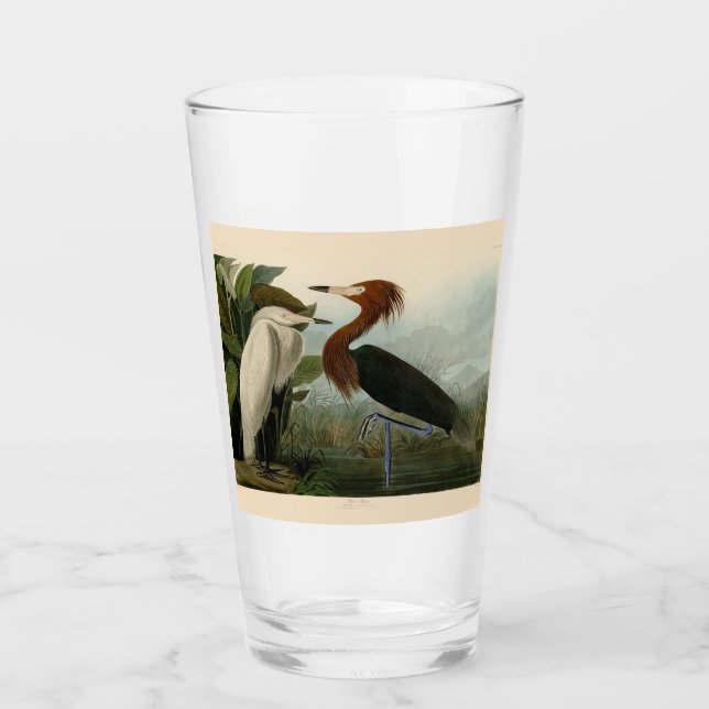 Purple Heron Audubon Bird Wildlife Painting Glass (Front)