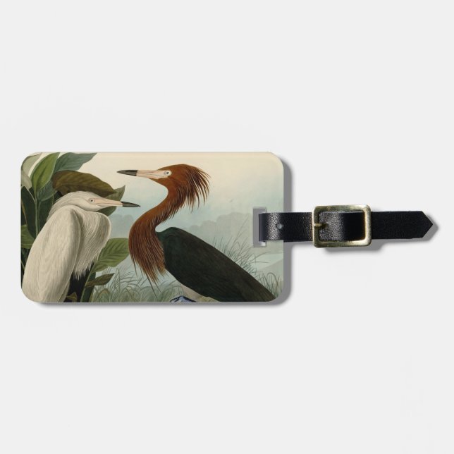 Purple Heron Audubon Bird Wildlife Painting Luggage Tag (Front Horizontal)
