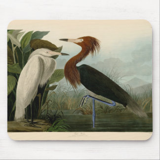 Purple Heron Audubon Bird Wildlife Painting Mouse Mat