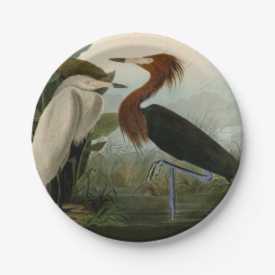 Purple Heron Audubon Bird Wildlife Painting Paper Plate