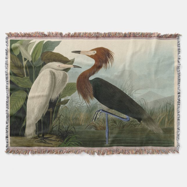 Purple Heron Audubon Bird Wildlife Painting Throw Blanket (Front)