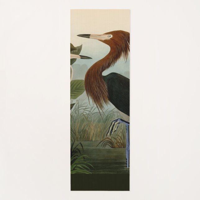 Purple Heron Audubon Bird Wildlife Painting Yoga Mat (Front)