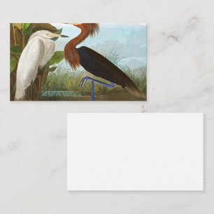 Purple Heron by John James Audubon Business Card