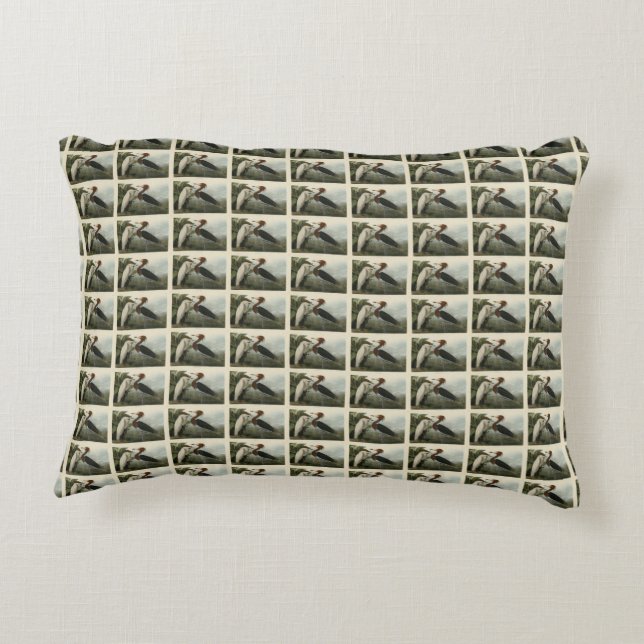 Purple Heron - from Audubon's Birds of America Decorative Cushion (Back)