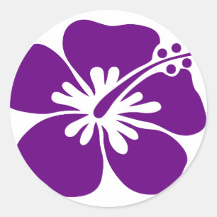 purple hibiscus aloha flower classic round sticker