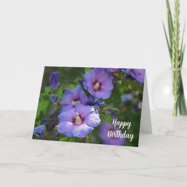 Purple Hibiscus Celebration Birthday Card (Front)