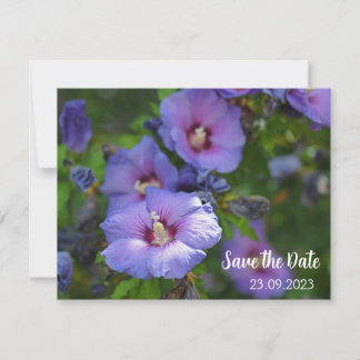 Purple Hibiscus Flower Celebration Save the Date Holiday Card
