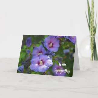 Purple Hibiscus Flower With Sympathy Card
