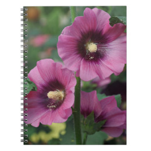 Purple hibiscus flowers notebook