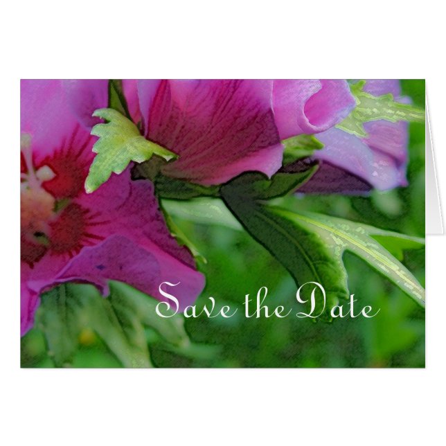 Purple hisbiscus flowers (Front Horizontal)