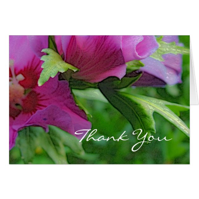 Purple hisbiscus flowers (Front Horizontal)