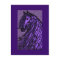 Purple Horse Postcards