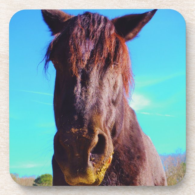 Purple Horse w/ Green Mouth Coaster (Front)