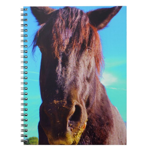 Purple Horse w/ Green Mouth Notebook (Front)