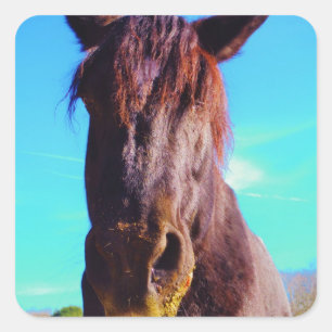 Purple Horse w/ Green Mouth Square Sticker