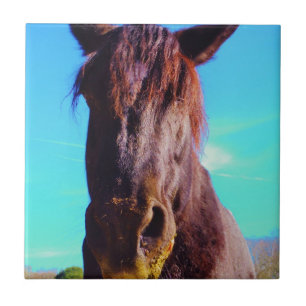 Purple Horse w/ Green Mouth Tile