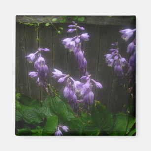 PURPLE HOSTA BELLS MAGNET