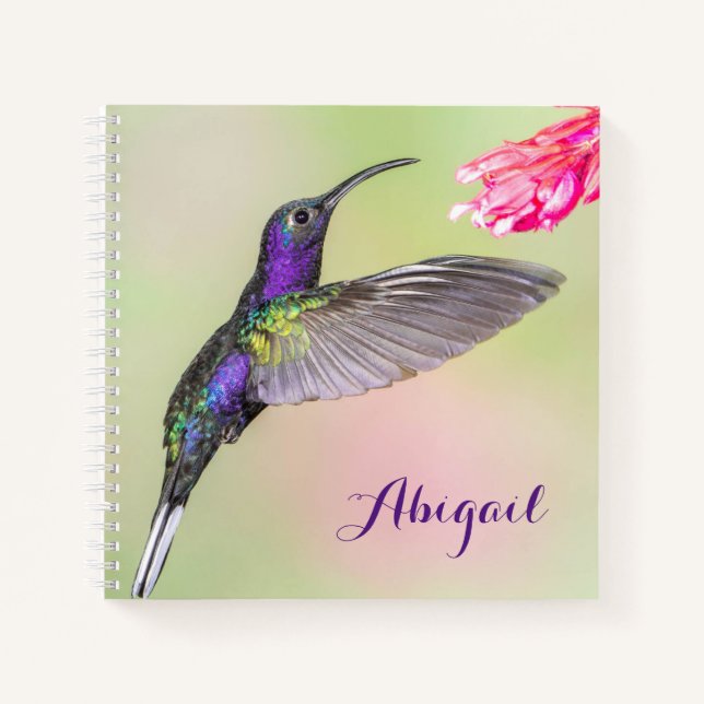 Purple Hummingbird Beautiful Personalised Notebook (Front)