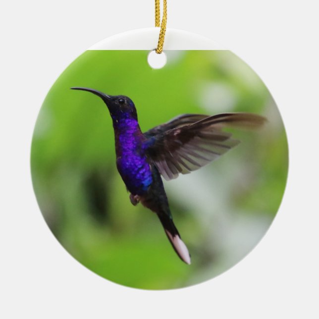 Purple hummingbird Christmas ornament (Front)