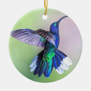 Purple Hummingbird Flying Monogram Name Ceramic Tree Decoration