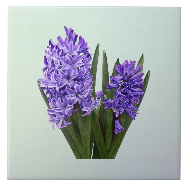 Purple Hyacinth Duo Tile (Front)