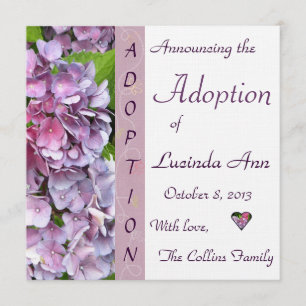 Purple Hydrangea Adoption Announcement
