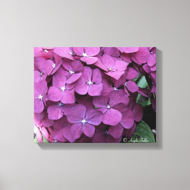 Purple Hydrangea Blooms Canvas (Front)