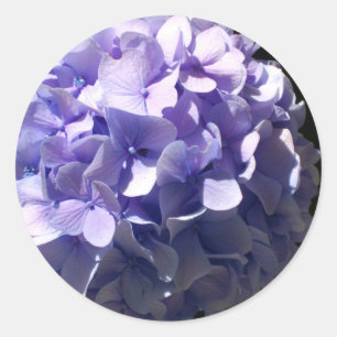 Purple  Hydrangea Classic Round Sticker