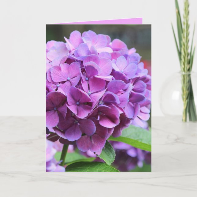 Purple Hydrangea Greeting Card (Front)