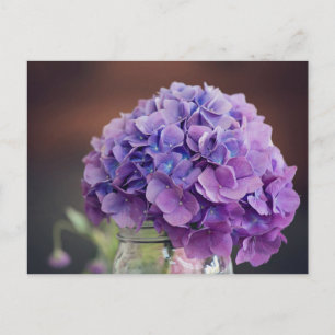 Purple Hydrangea in Mason Jar Photograph Postcard