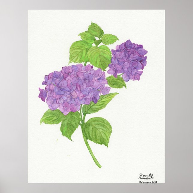 Purple Hydrangea Poster (Front)