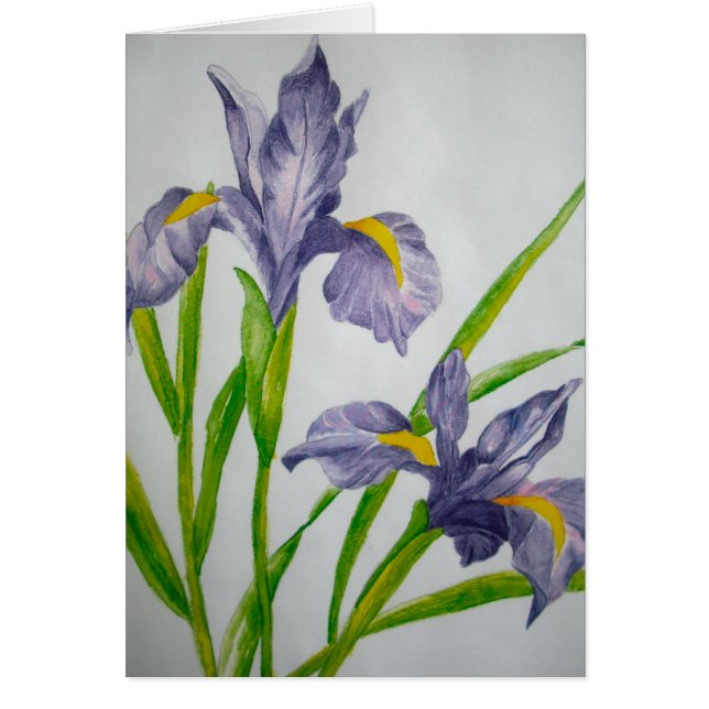 purple iris (Front)