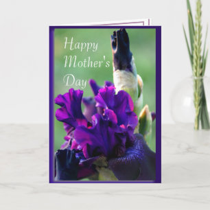 Purple Iris 2914xc- customise any occasion Card