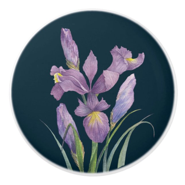 Purple Iris Botanical Floral Plain Dark Turquoise  Ceramic Knob (Front)