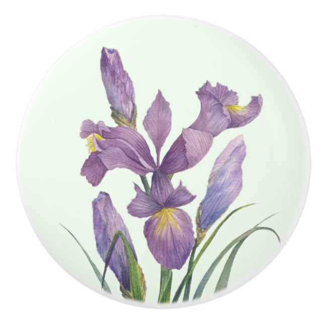 Purple Iris Botanical Floral Plain Duck Egg Blue Ceramic Knob (Front)