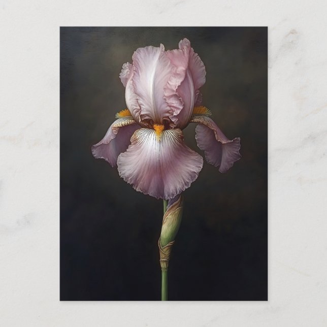 Purple Iris Botanical Painting Postcard (Front)