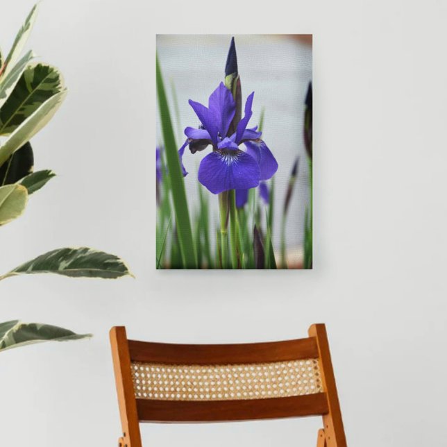 Purple Iris Botanical Photographic Floral Canvas Print (Creator Uploaded)