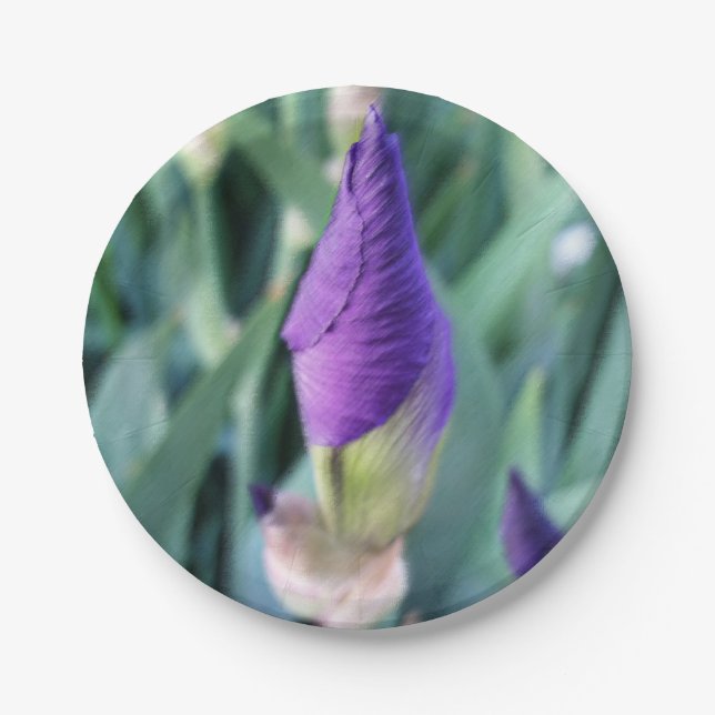 purple iris bud paper plate (Front)