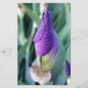 purple iris bud stationery