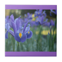 Purple Iris Ceramic Tile