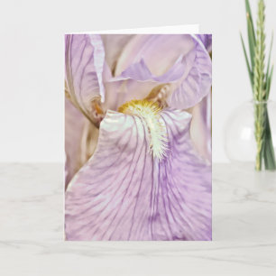 Purple Iris Close Up Scripture Card Psalm 16:6