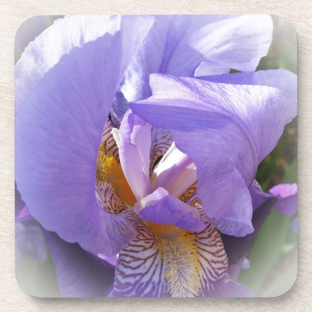 purple iris coaster (Front)
