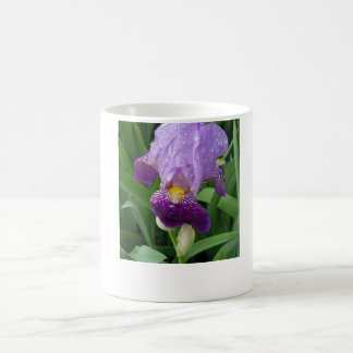 Purple Iris Coffee Mug