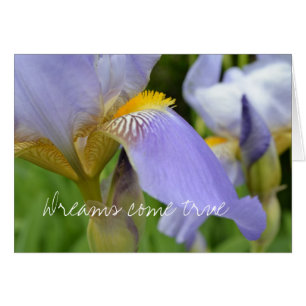 Purple Iris-Dreams come true