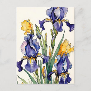 Purple Iris Flower Bloom                           Holiday Postcard
