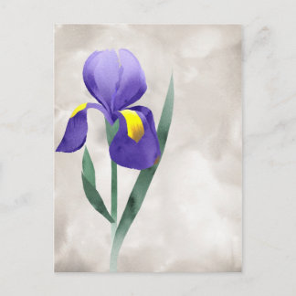purple iris flower card
