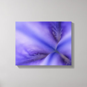 Purple Iris Flower Close Up Canvas Print
