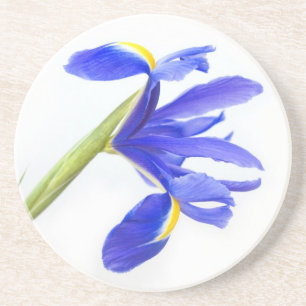 Purple Iris Flower Coaster